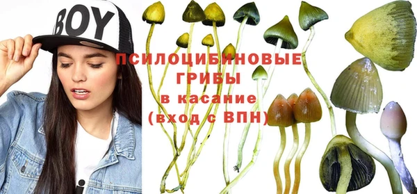 каннабис Алексеевка