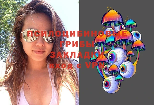 apvp Алзамай