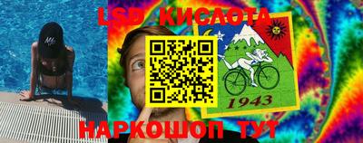 мдпв Гатчина