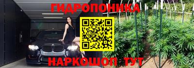мдпв Гатчина